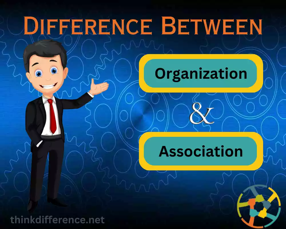 Association and Organization