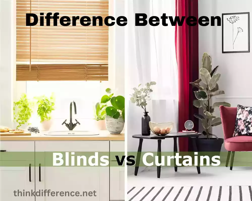 Blinds and Curtains