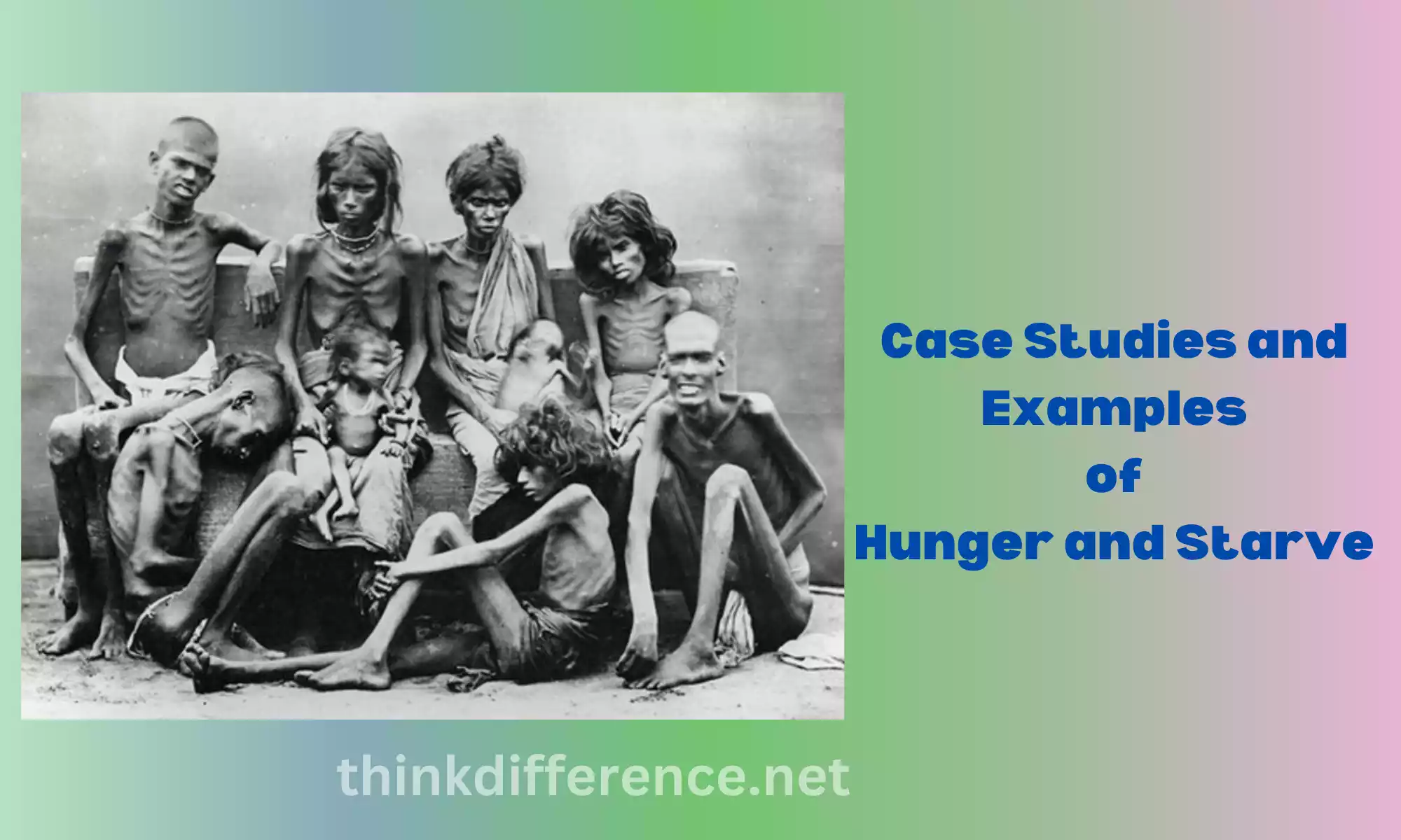Case Studies and Examples of Hunger and Starve