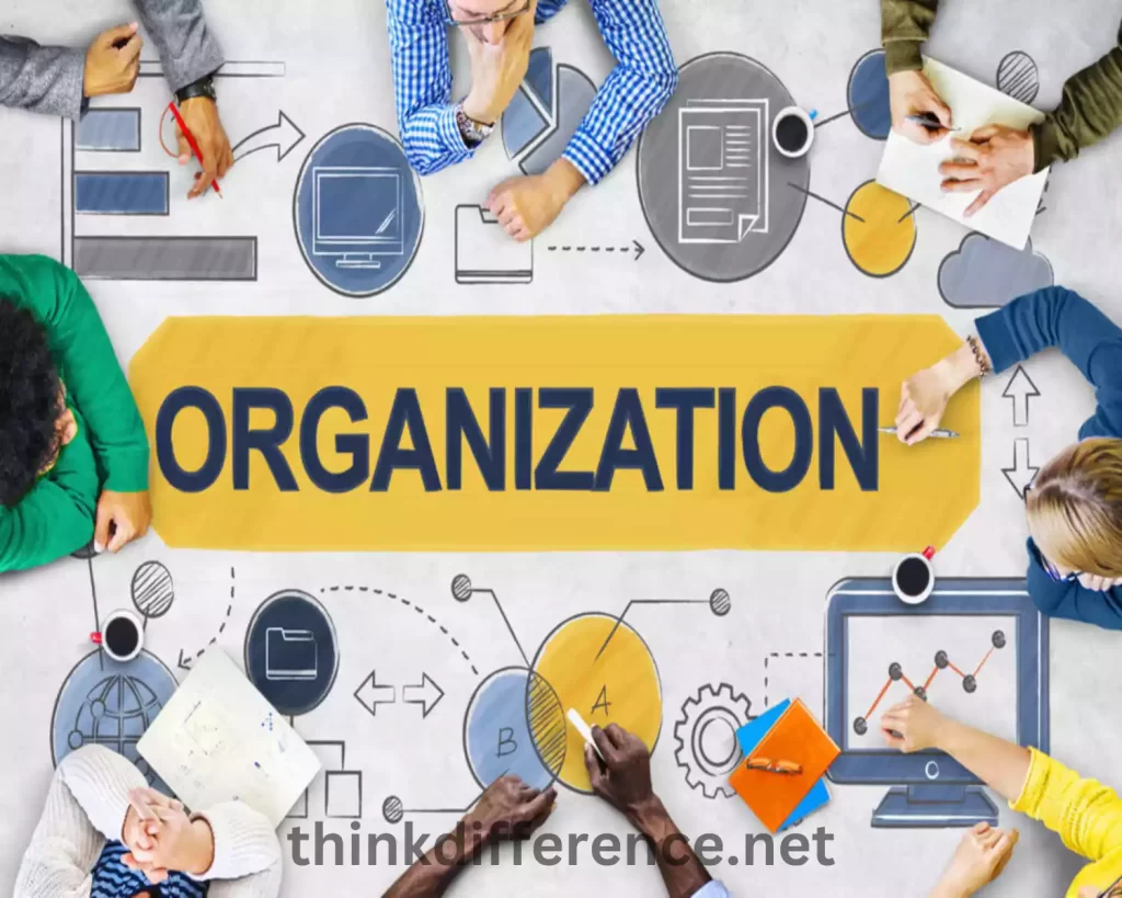 Characteristics of an Organization