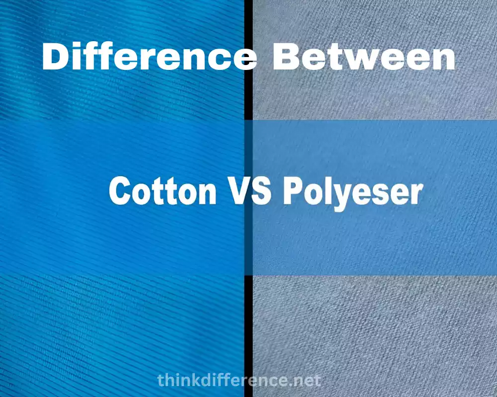 Cotton and Polyester 7 best difference you should know