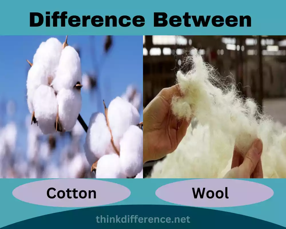 Cotton and Wool