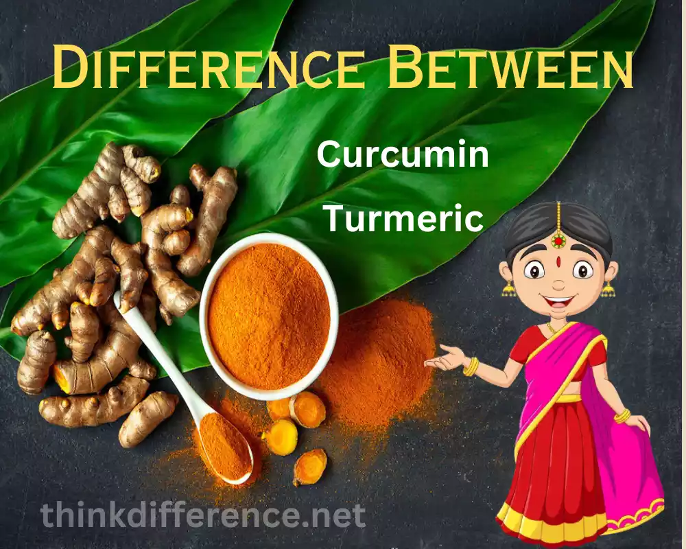 Curcumin and Turmeric