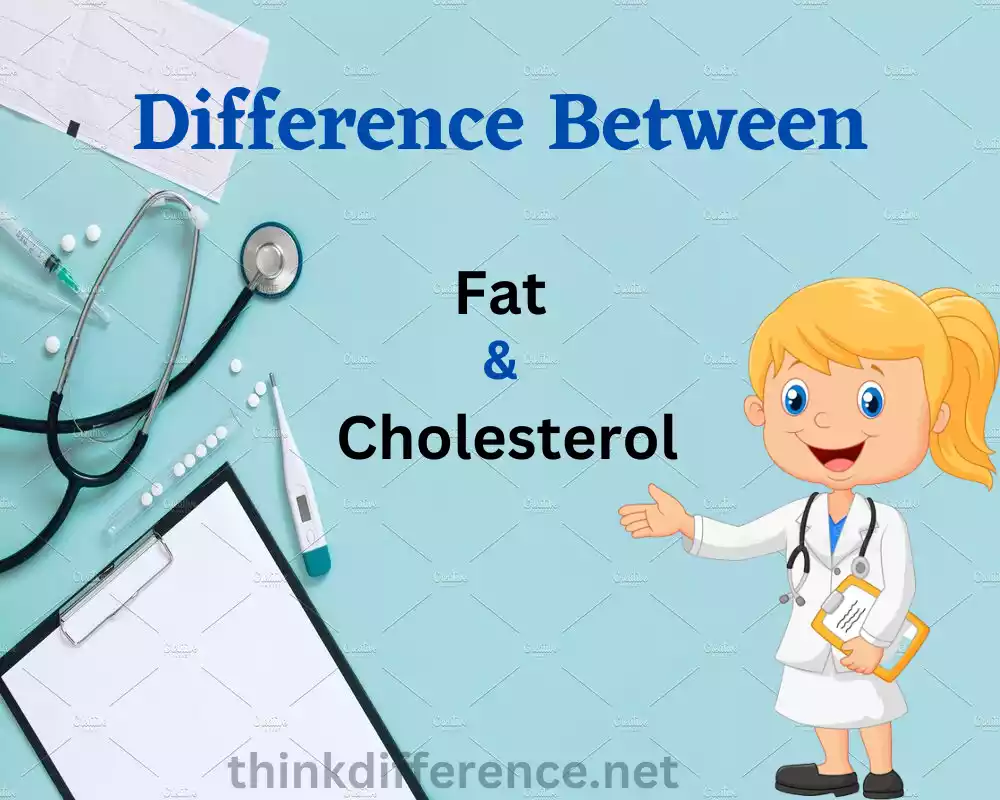 Fat and Cholesterol
