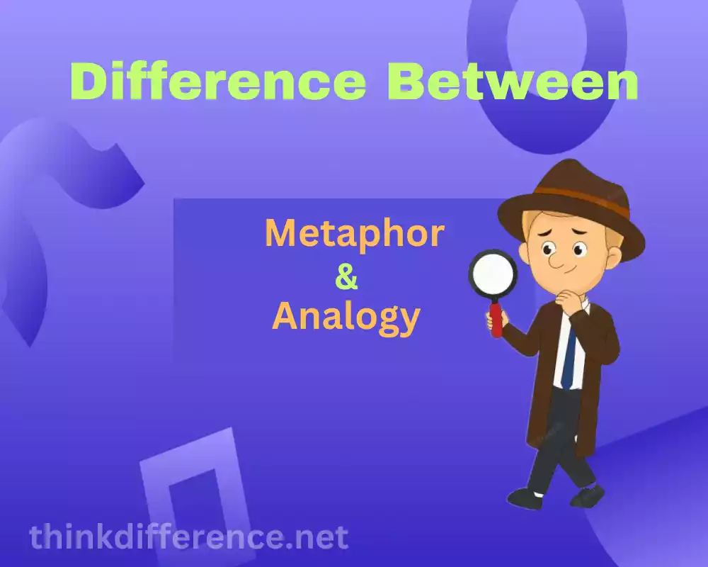 Metaphor and Analogy