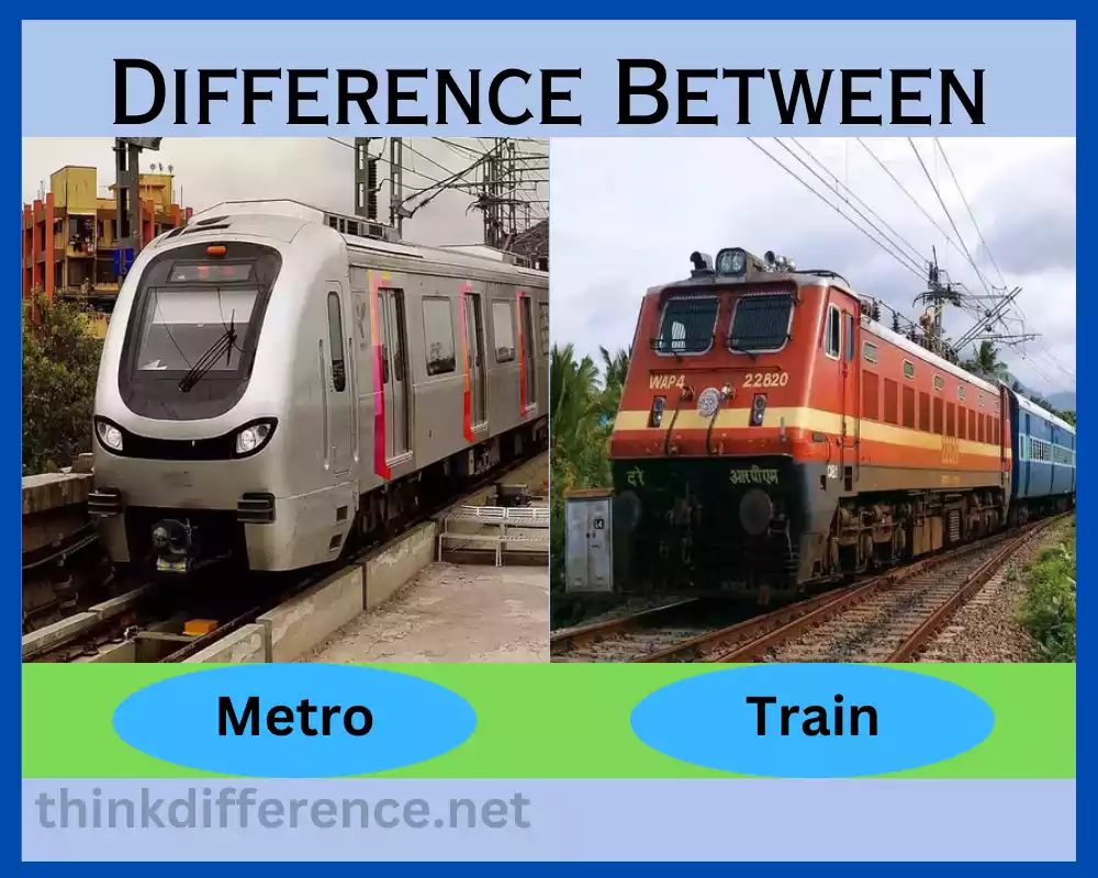 Metro and Train