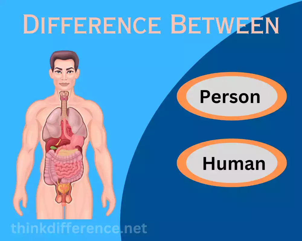 Person and Human