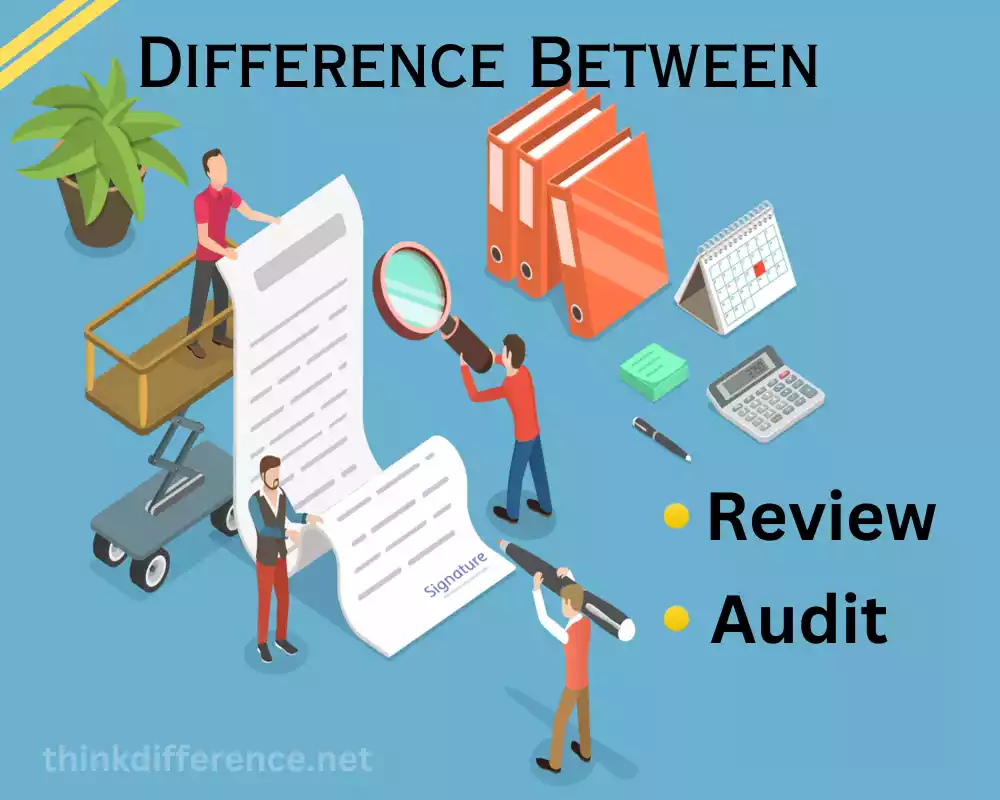 Review and Audit
