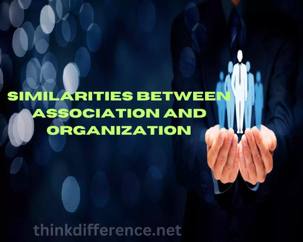 Similarities Between Association and Organization