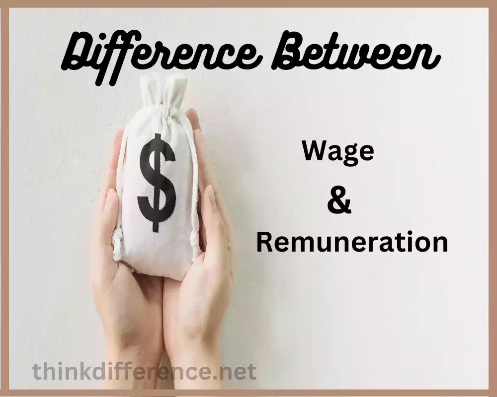 Wage and Remuneration