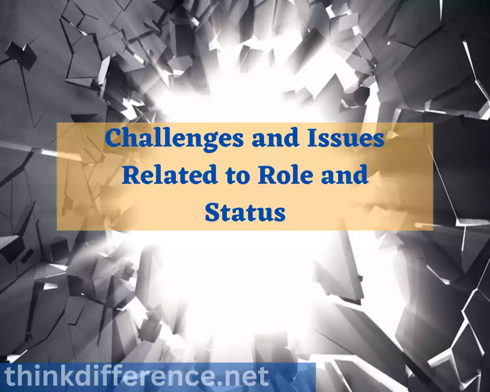 Challenges and Issues Related to Role and Status