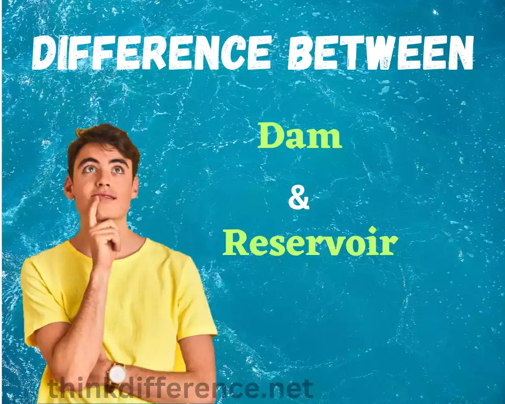 Dam and Reservoir