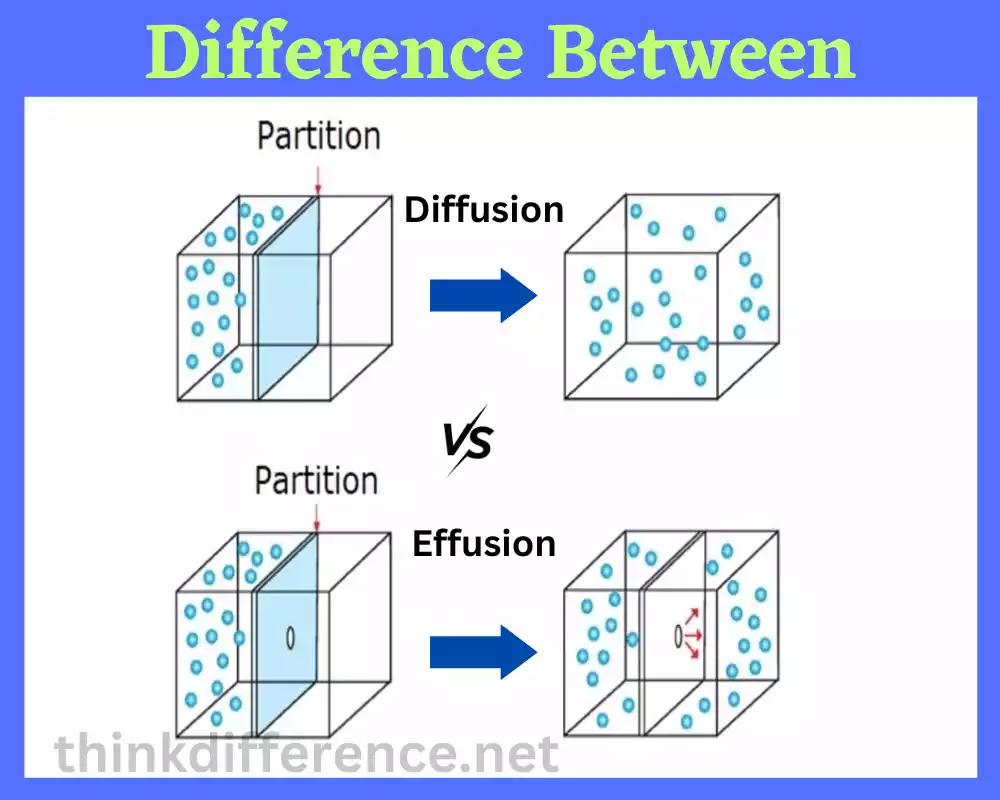 Diffusion and Effusion