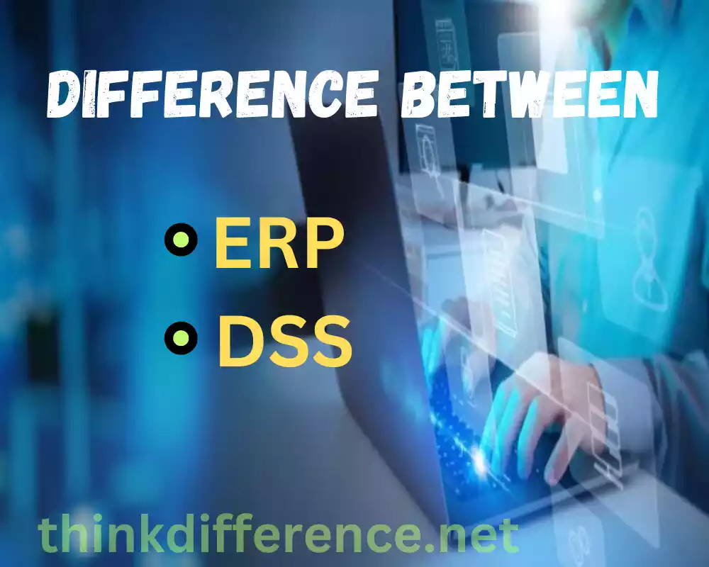 ERP and DSS