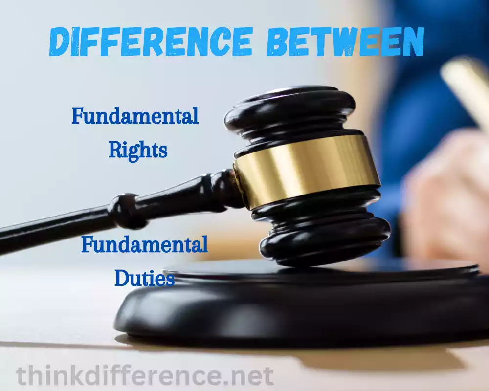 Fundamental Rights and Fundamental Duties