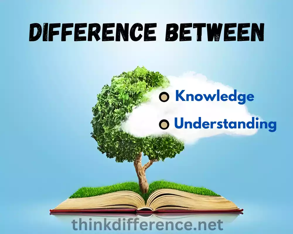 Knowledge and Understanding