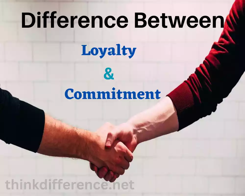 Loyalty and Commitment