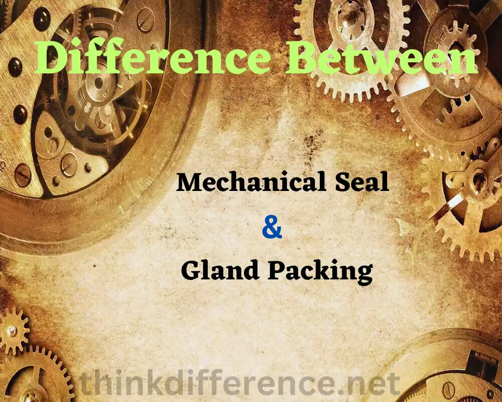 Mechanical Seal and Gland Packing