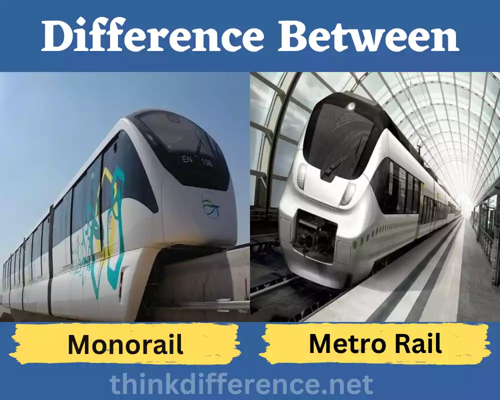Monorail And Metro Rail.webp