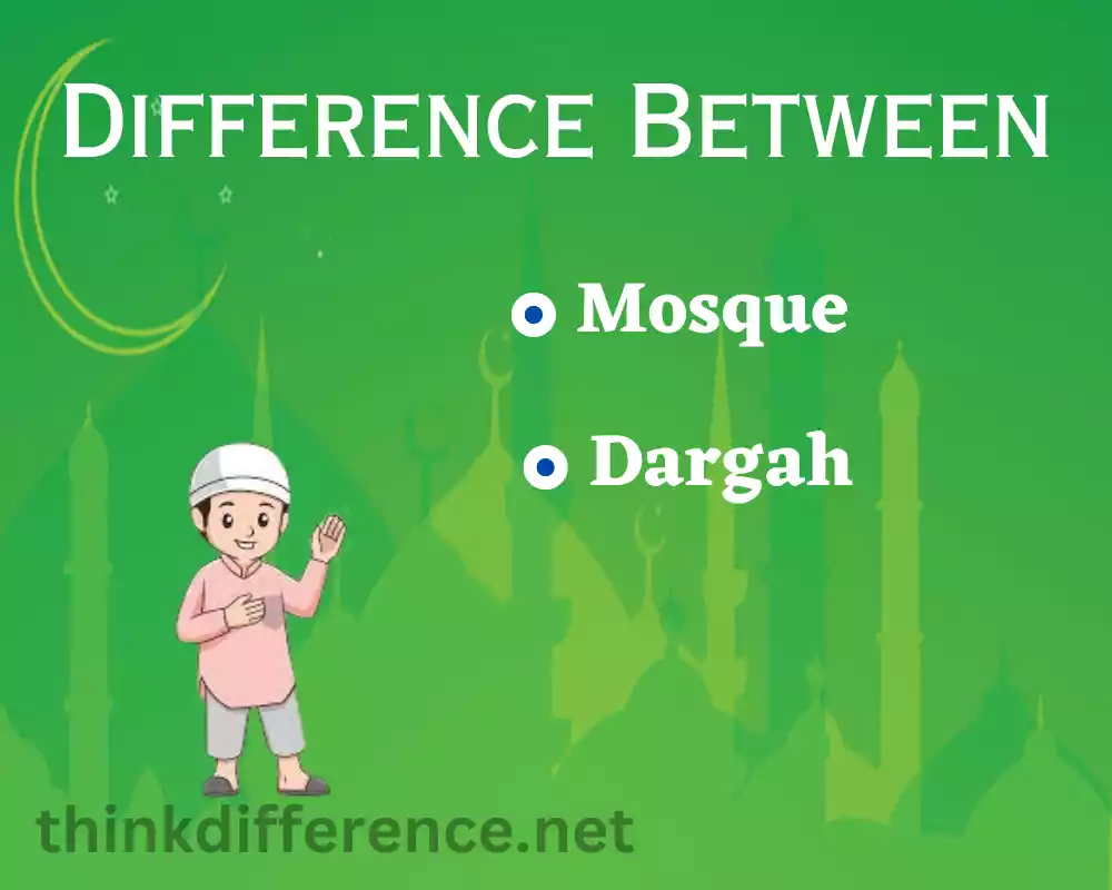 Mosque and Dargah