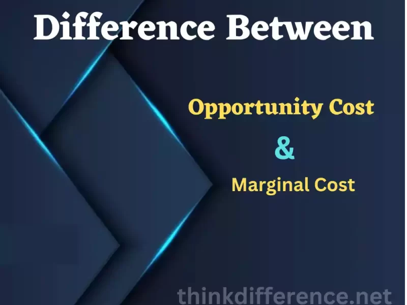 Opportunity Cost and Marginal Cost
