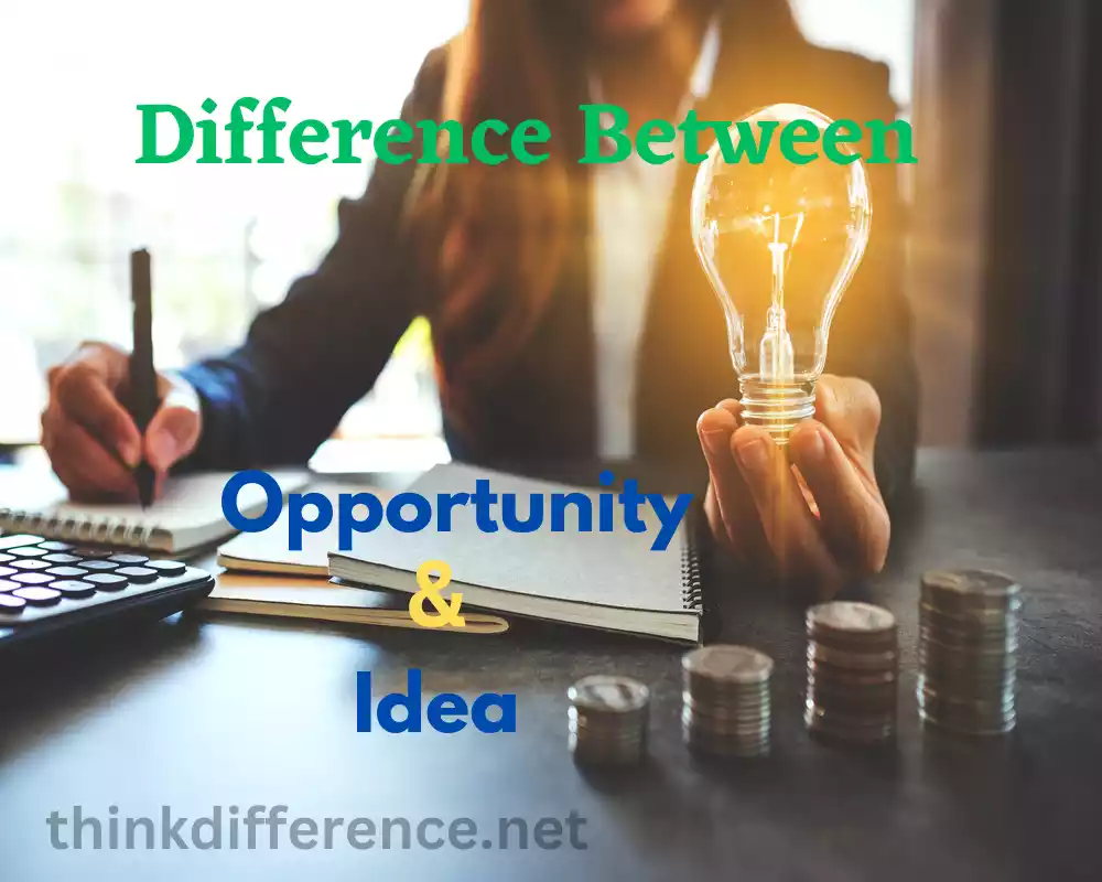 Opportunity and Idea