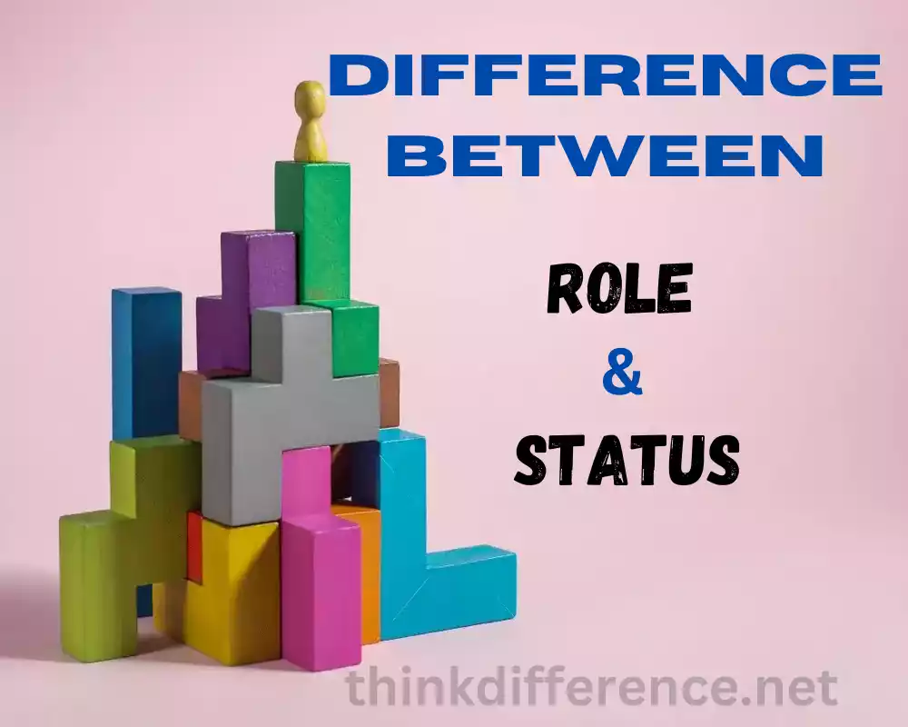 Role and Status