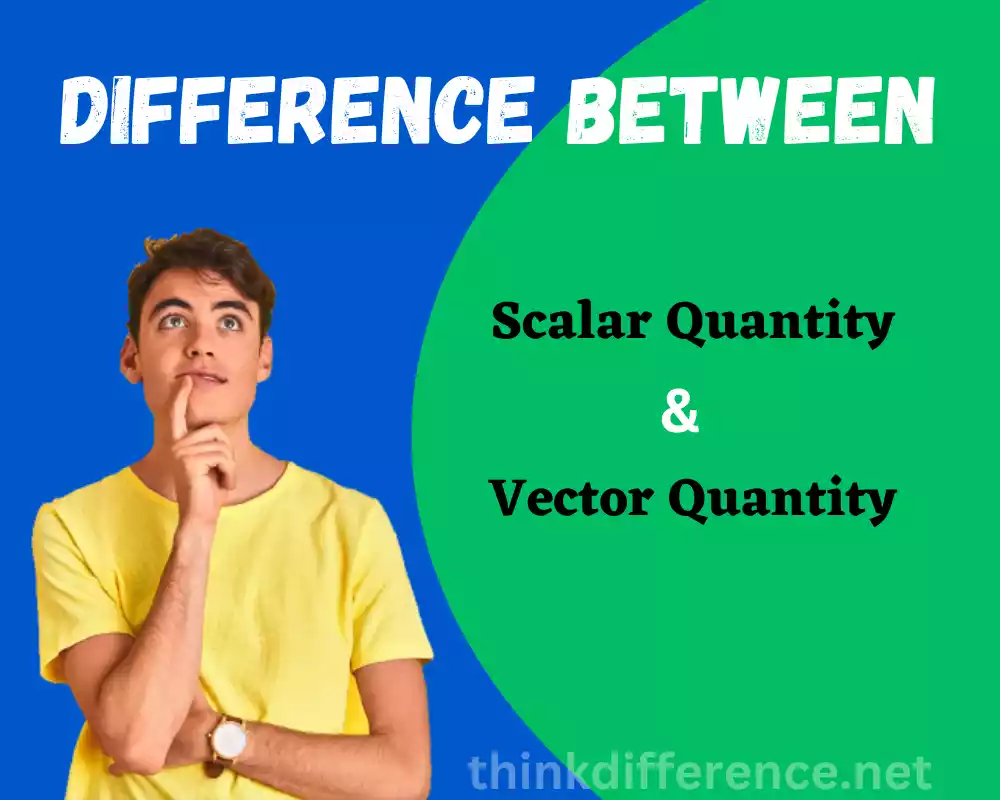 Scalar Quantity and Vector Quantity