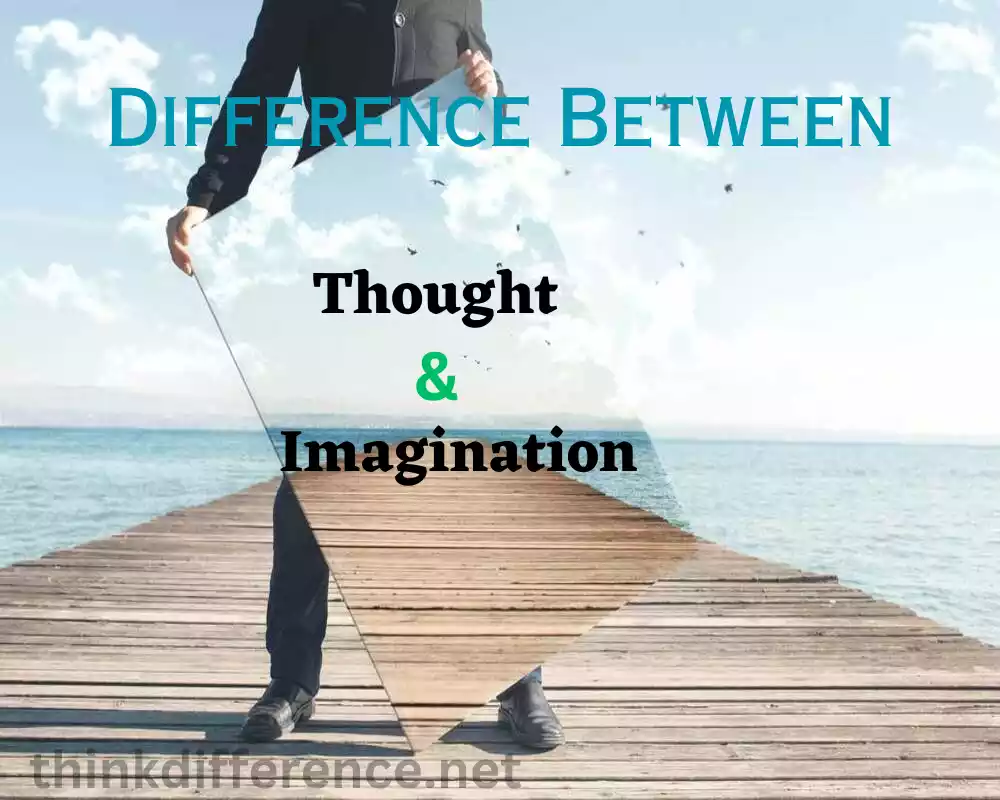 Thought and Imagination