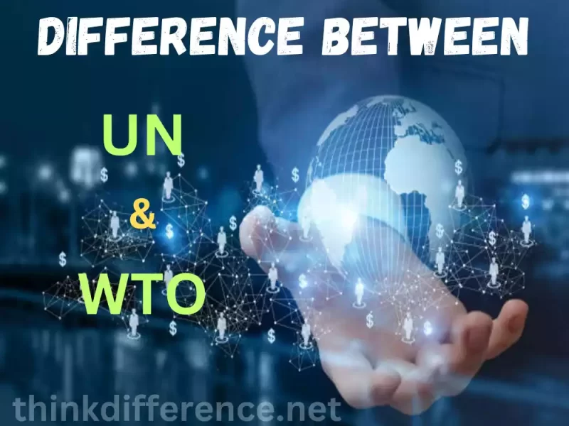UN and WTO