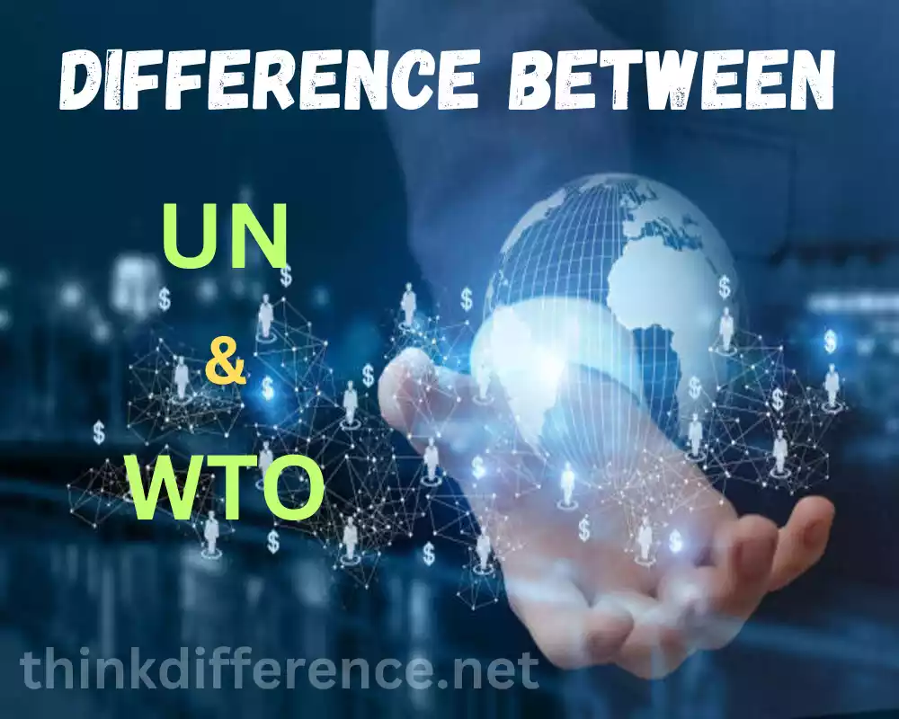 UN and WTO