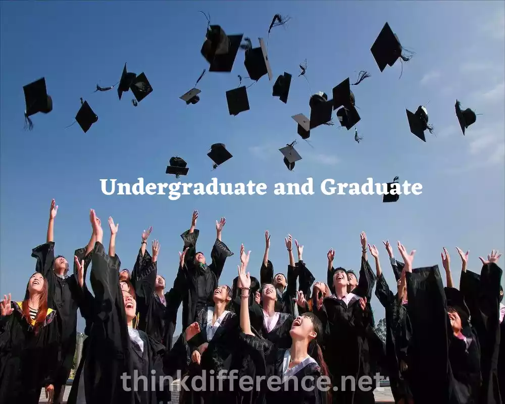 Undergraduate and Graduate