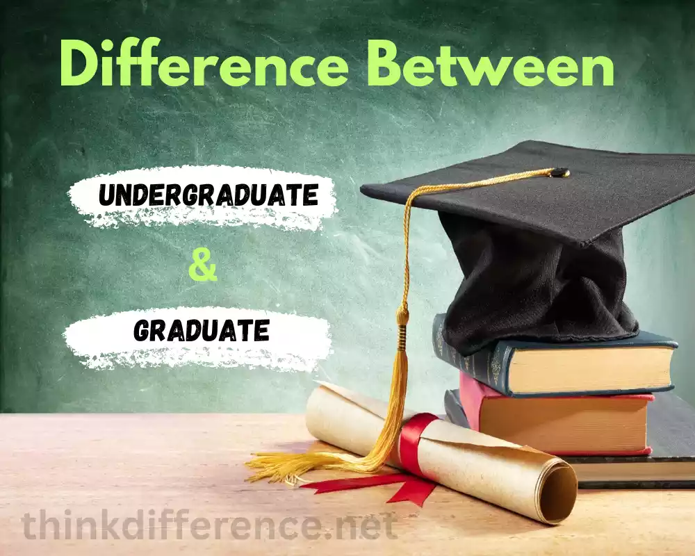 Undergraduate and Graduate