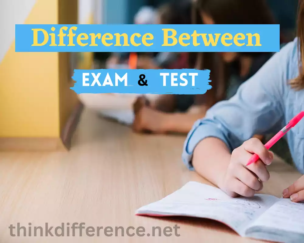 Exam and Test