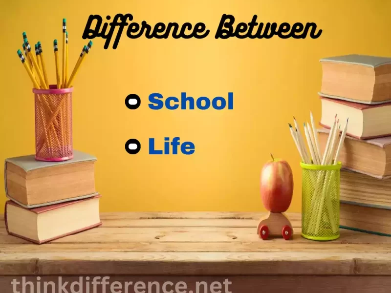School and Life