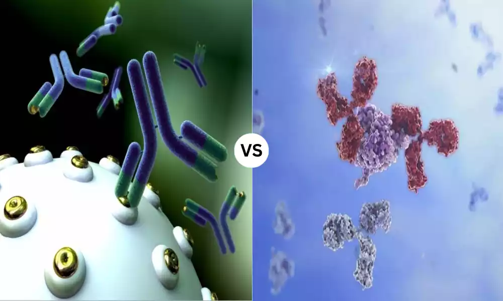 Monoclonal Antibodies and Polyclonal Antibodies