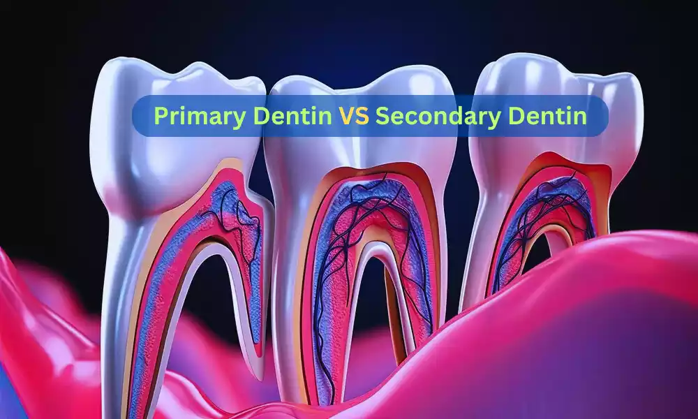 Primary and Secondary Dentin