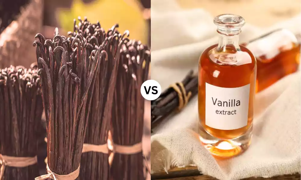 Vanilla and Vanilla Extract