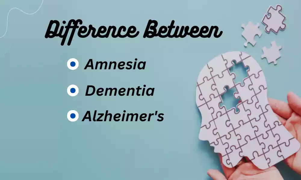 Amnesia Dementia and Alzheimer's