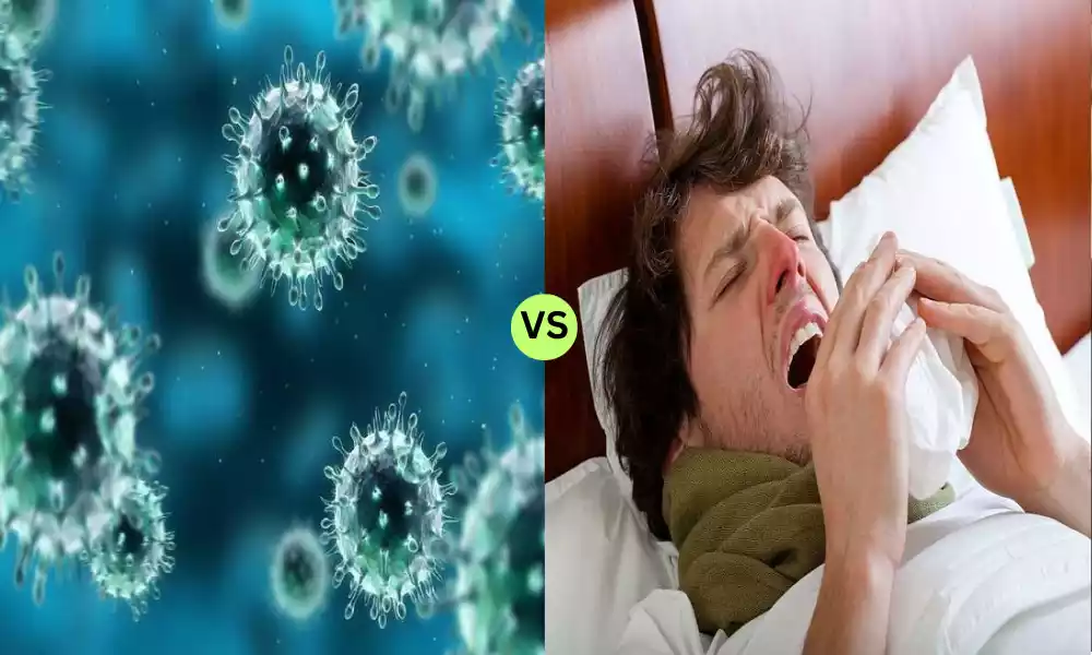 Swine Flu and Normal Flu