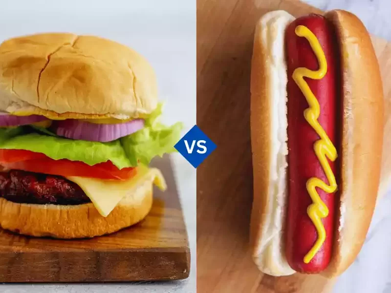 Hamburger vs Hotdog